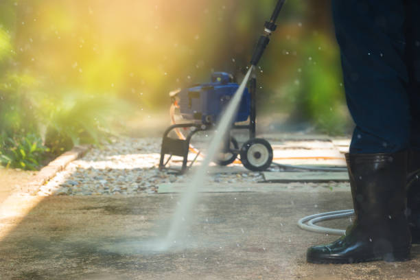 Boat and Dock Cleaning in Despard, WV